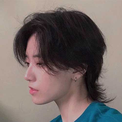 Wolf Cut Sample 4