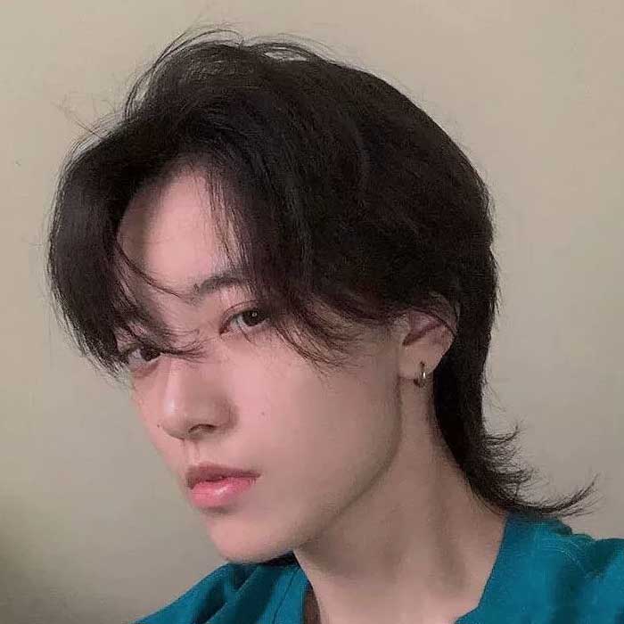 Wolf Cut Sample 5