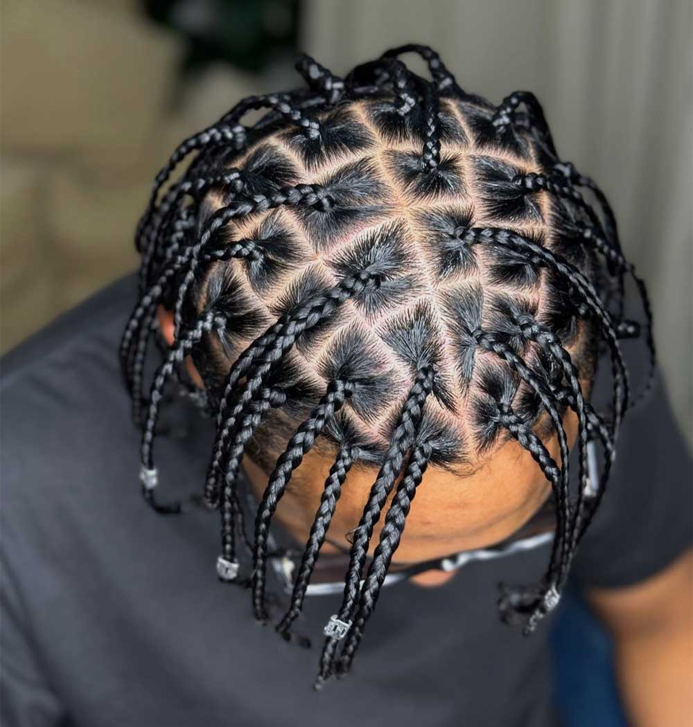 Box Braids Sample 6