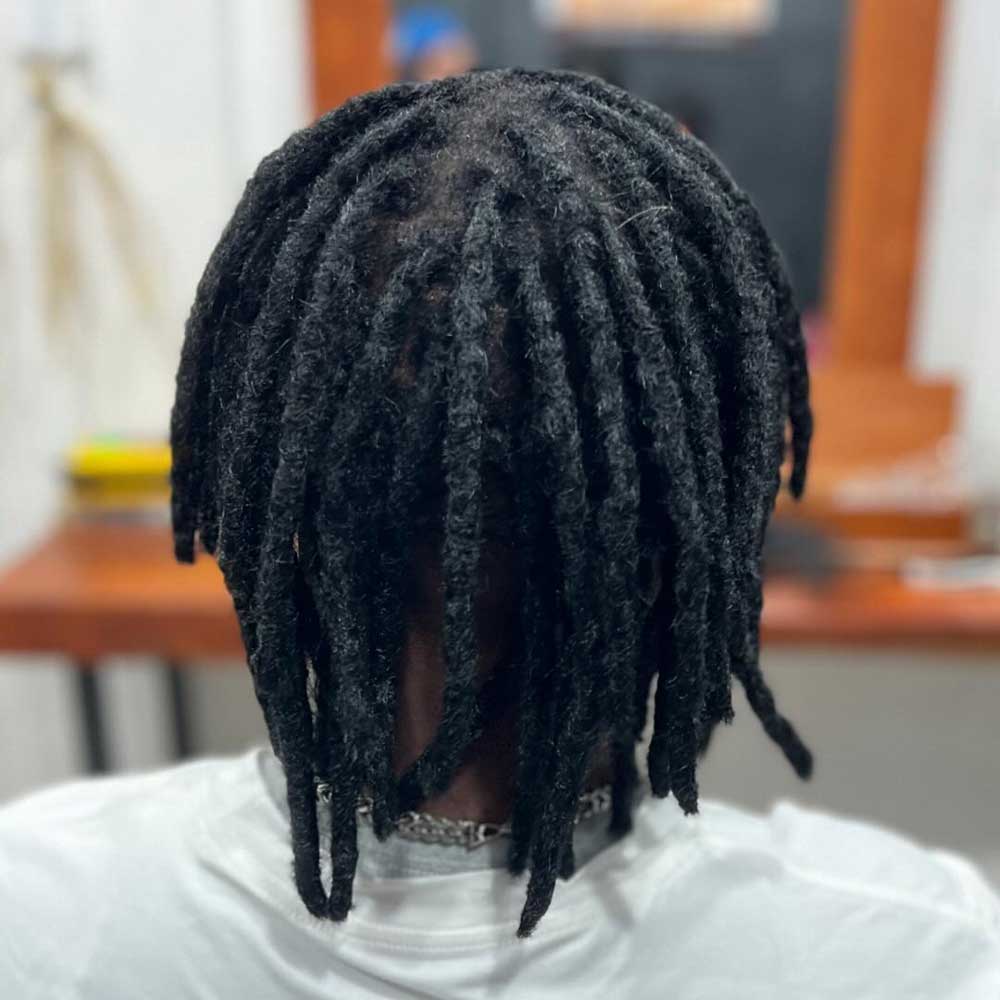 Dreadlocks (Locs) Sample 9