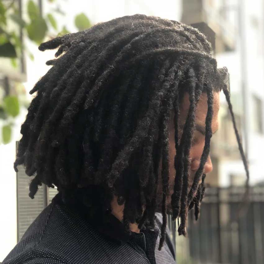 Dreadlocks (Locs) Sample 3