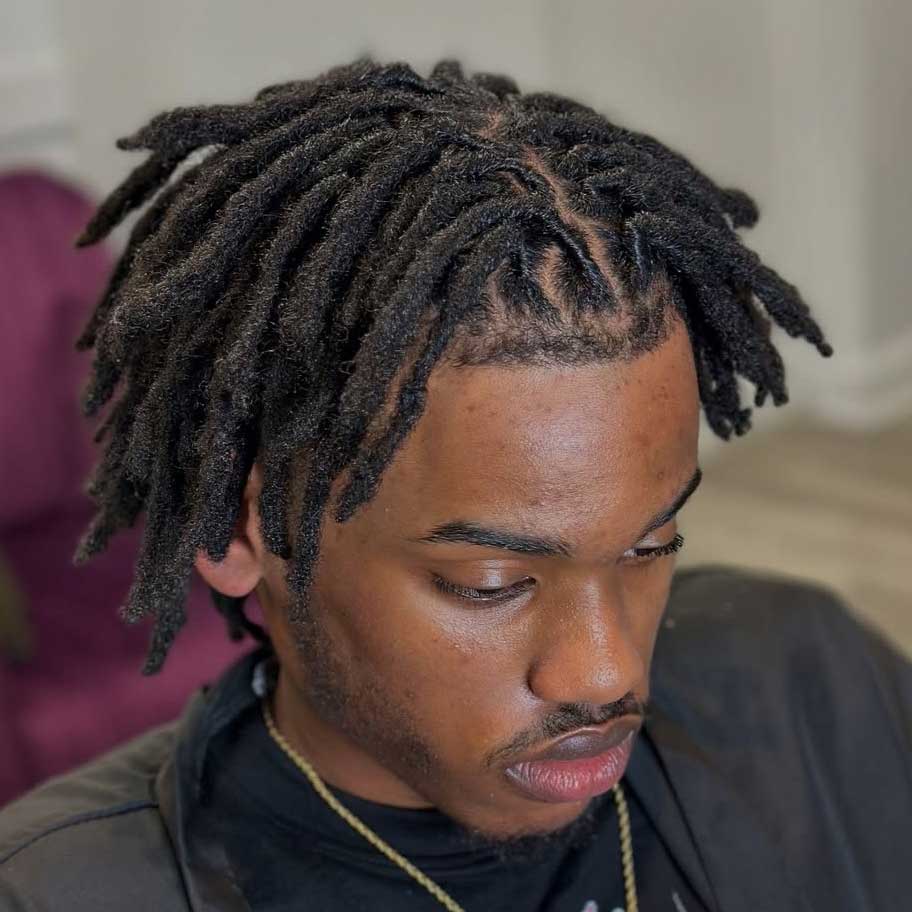 Dreadlocks (Locs) Sample 6