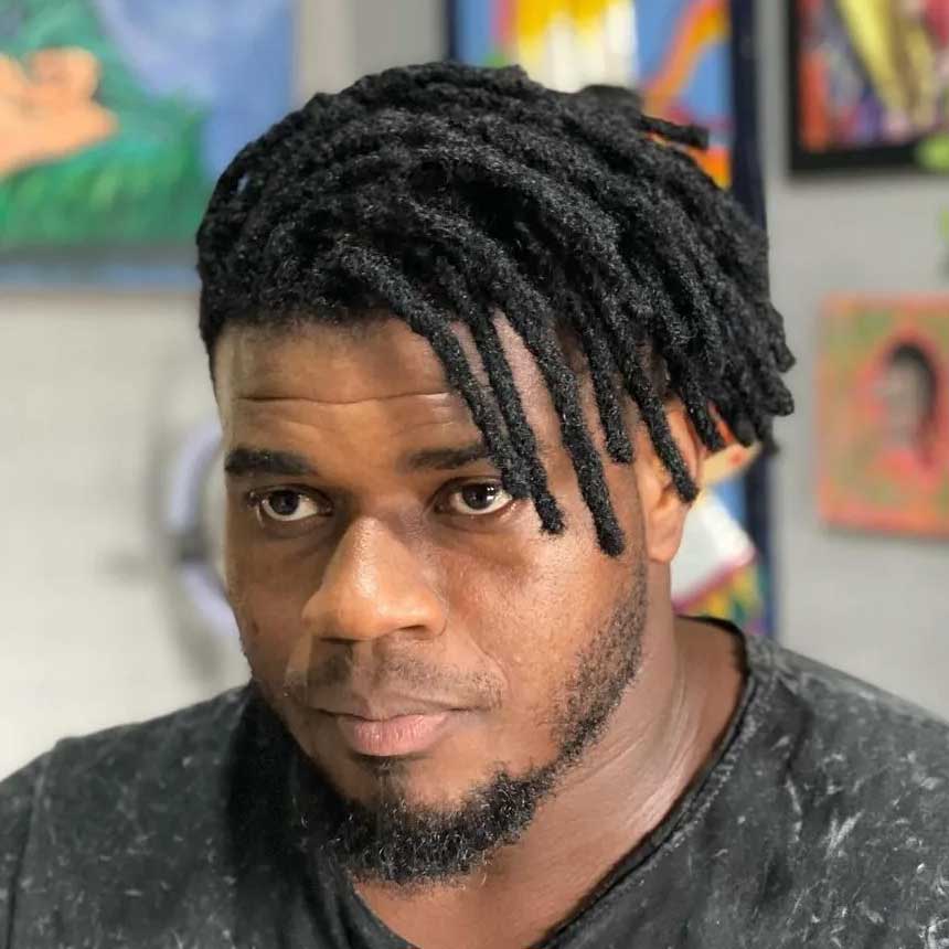 Dreadlocks (Locs) Sample 7