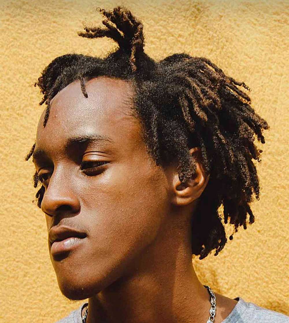 Freeform Locs Sample 10