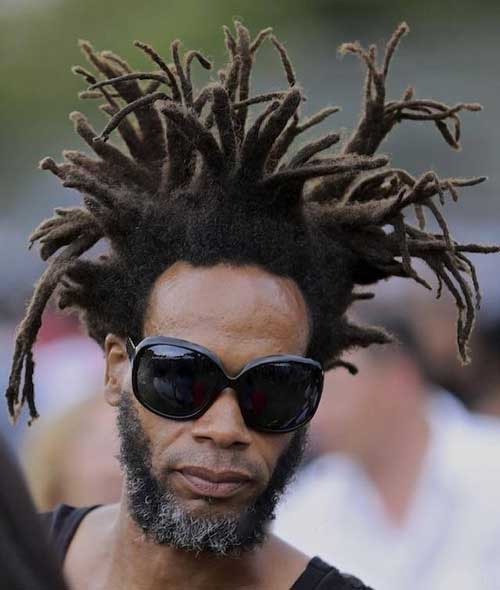 Freeform Locs Sample 12