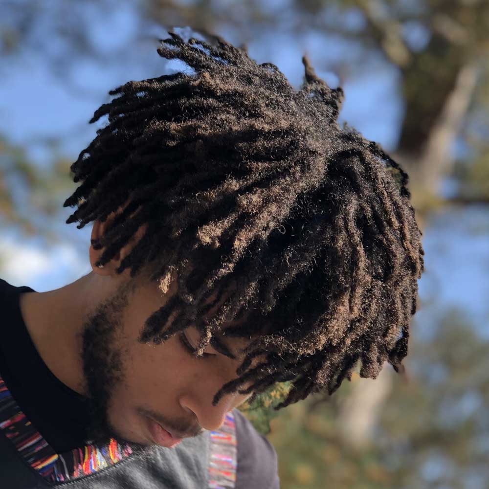 Freeform Locs Sample 2