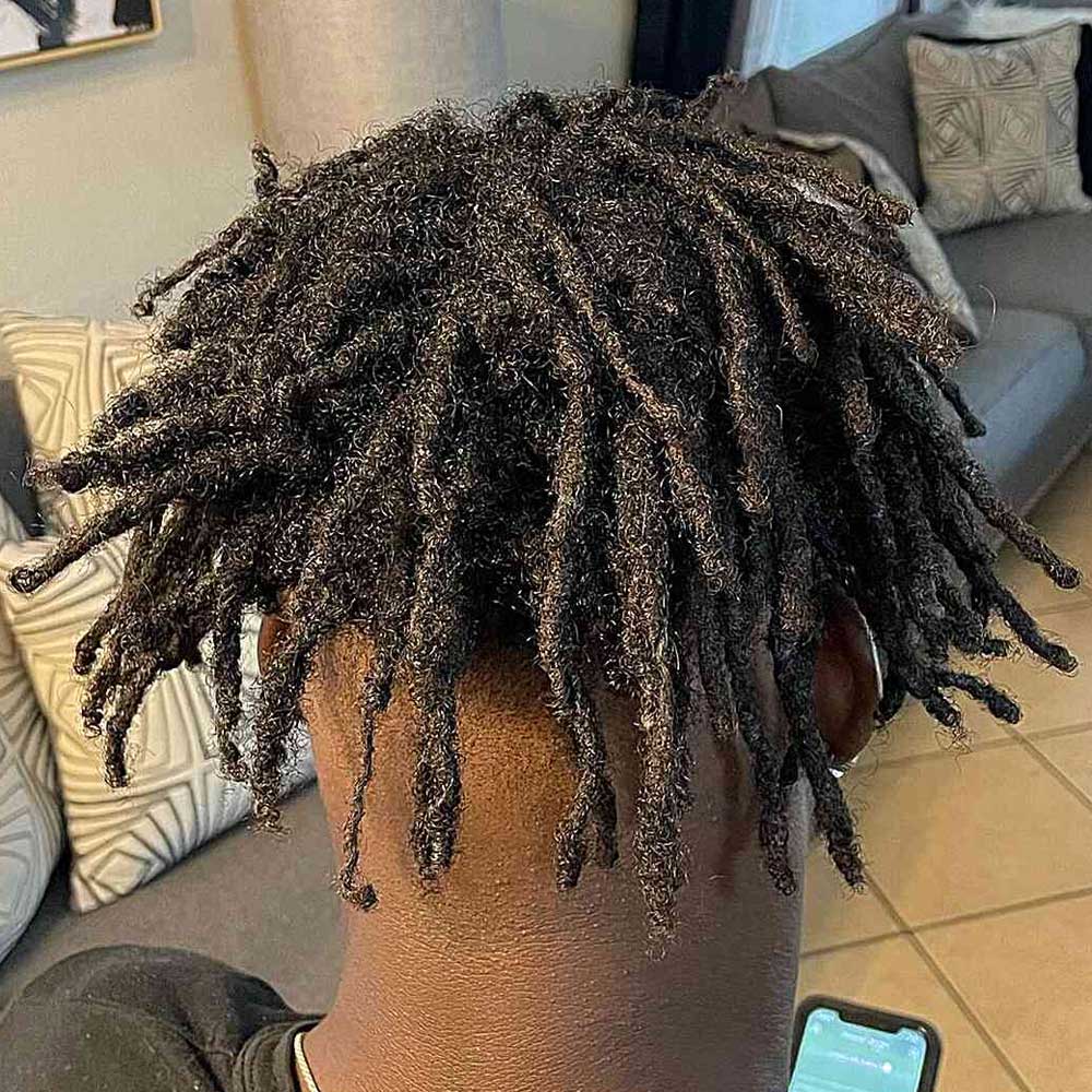 Freeform Locs Sample 5