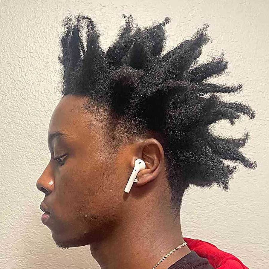 Freeform Locs Sample 6