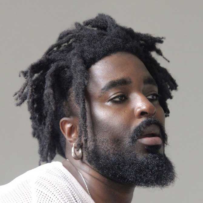 Freeform Locs Sample 8