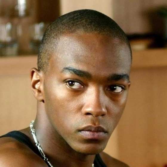 Buzz Cut Sample 2