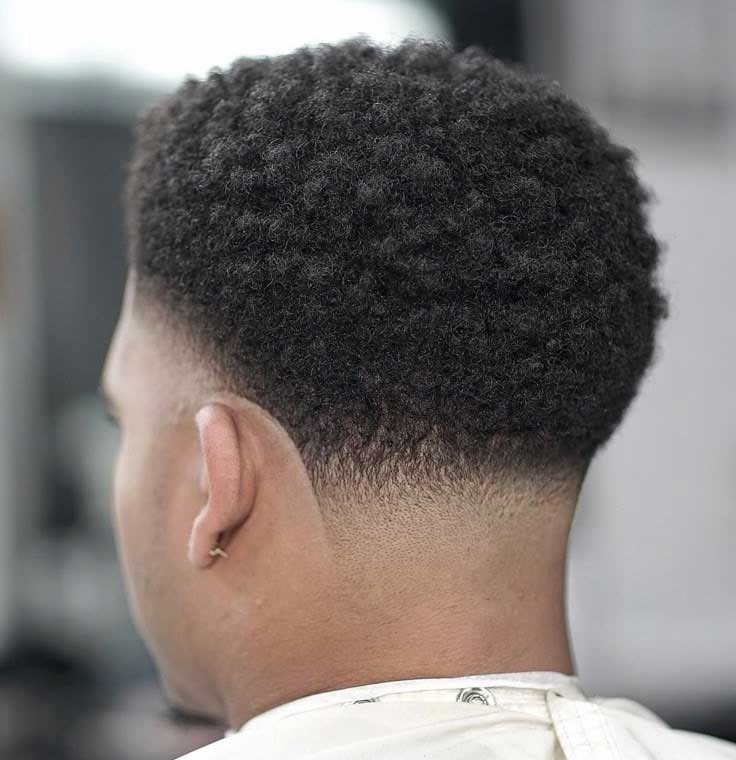 Curly Top Fade Sample 5