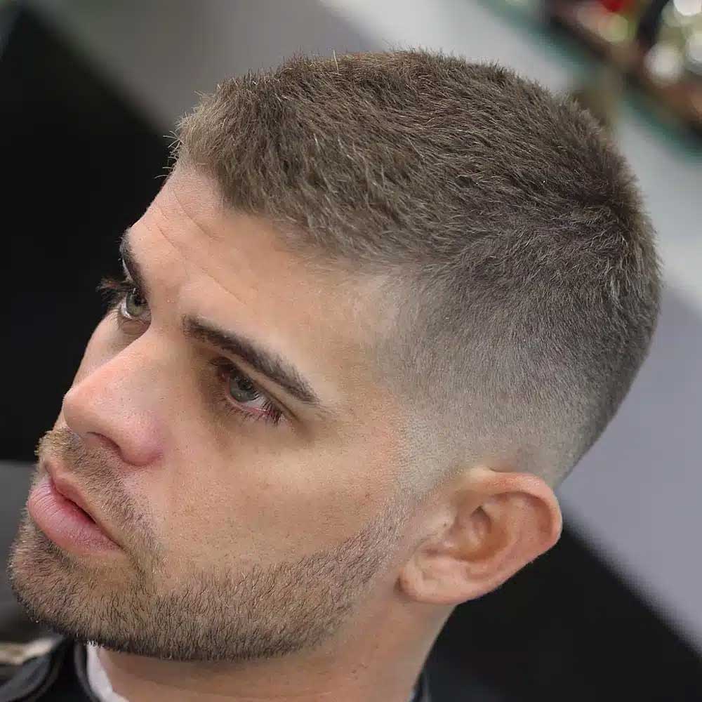 Crew Cut Sample 1
