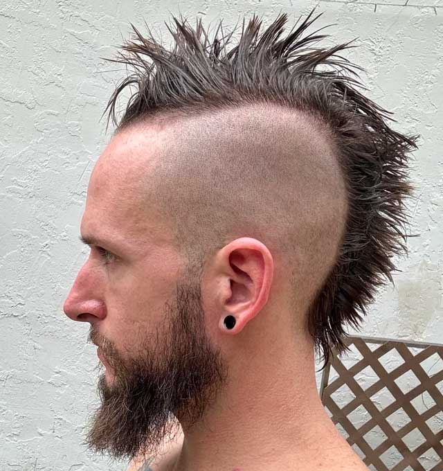 Mohawk Sample 2