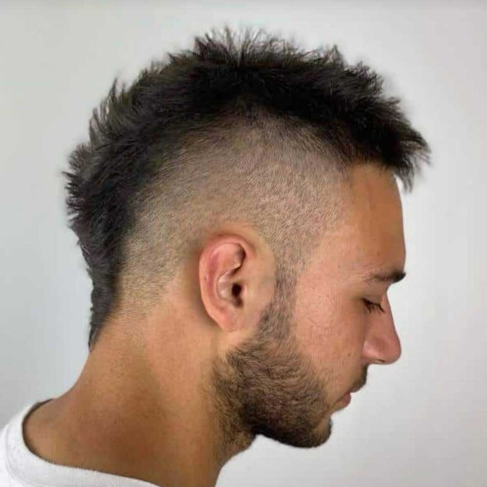 Mohawk Sample 7