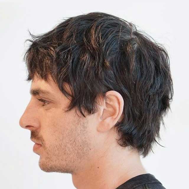 Shag Cut Sample 5