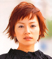 Miscellaneous Short Hairstyles Sample 101