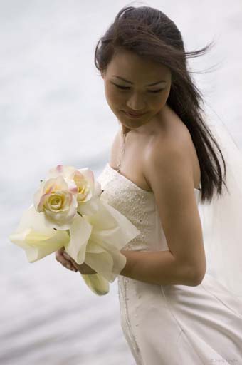 Wedding Hairstyles Sample 5