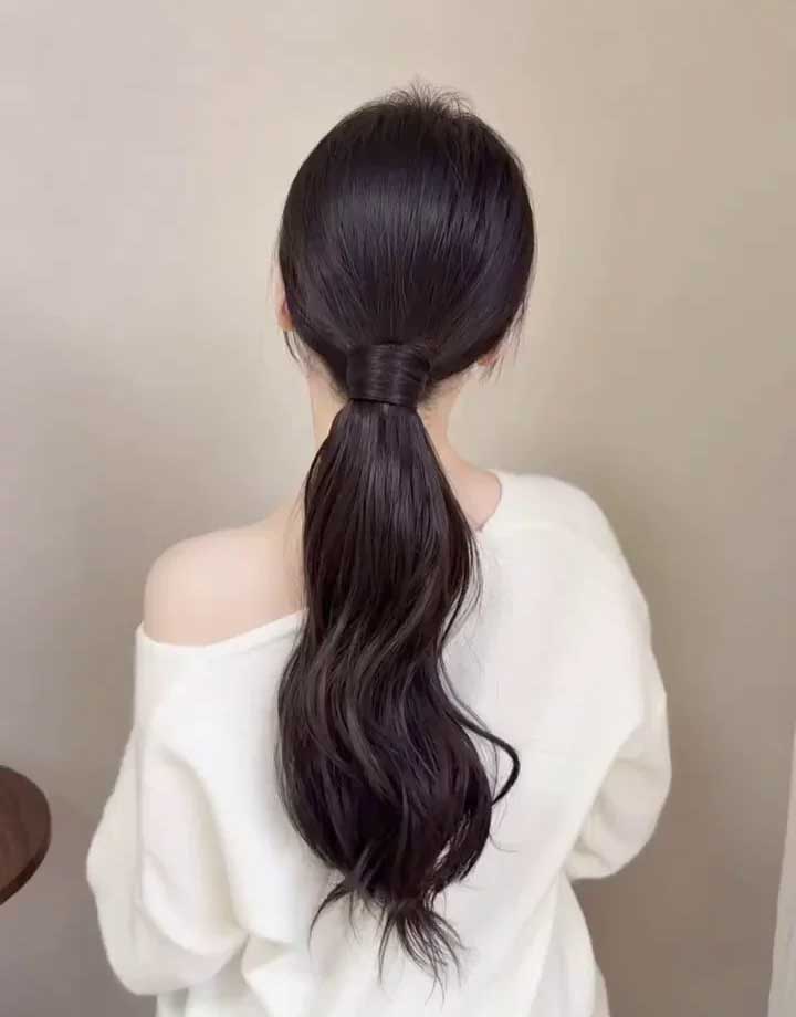 Low Ponytail Sample 9