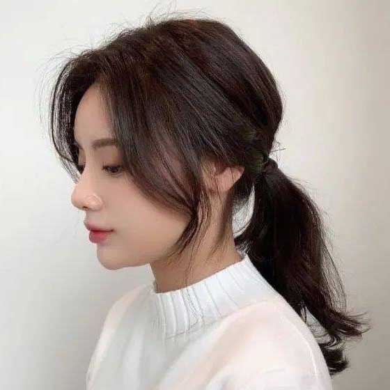 Low Ponytail Sample 2