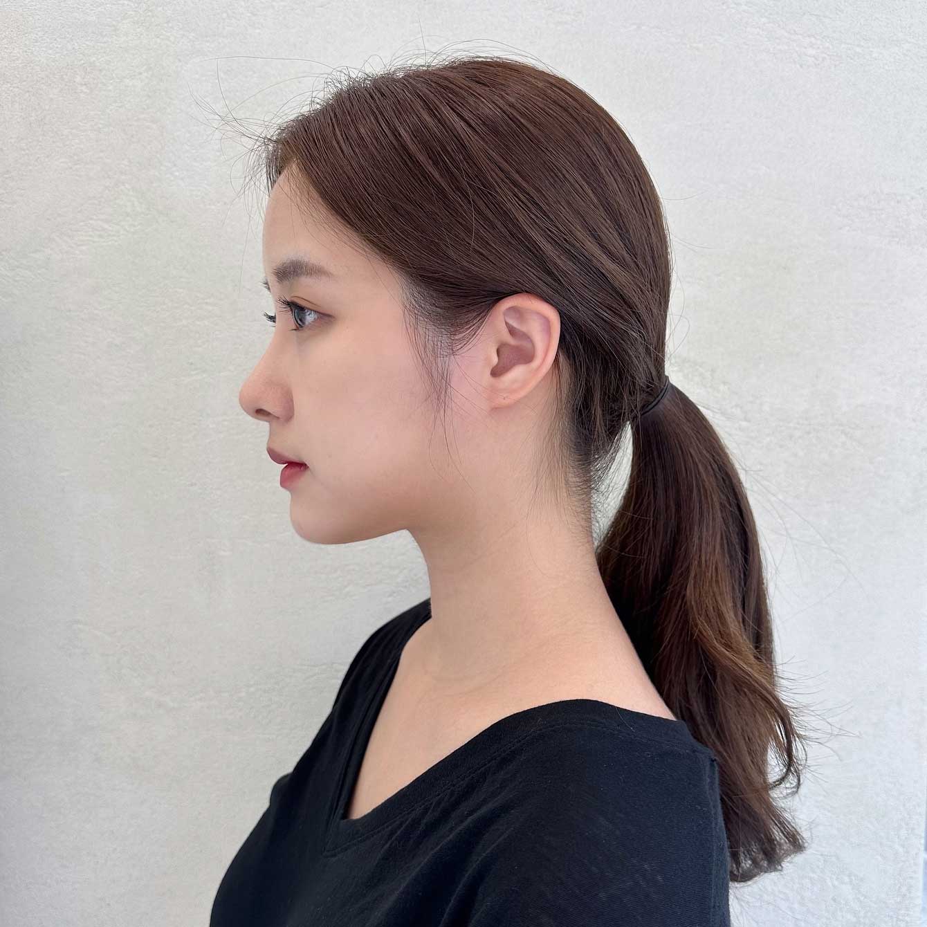 Low Ponytail Sample 7