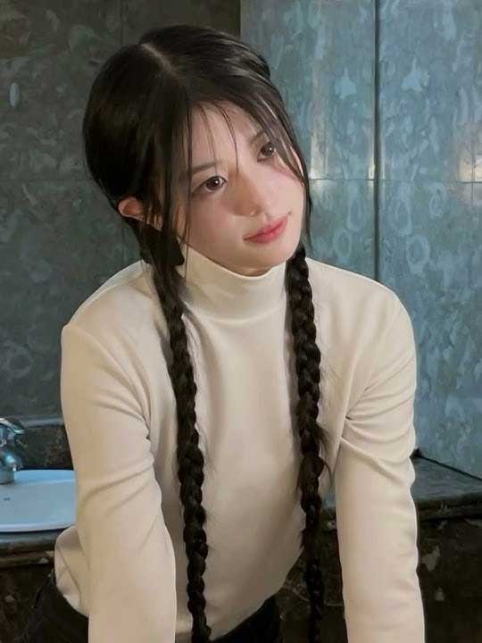 Braided Styles Sample 6