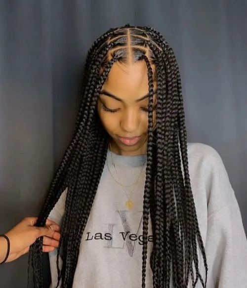 Box Braids Sample 6