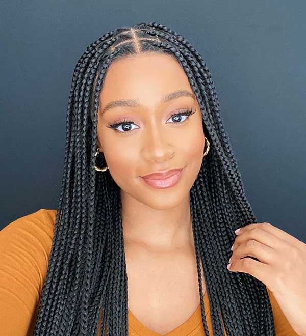 Knotless Braids Sample 13