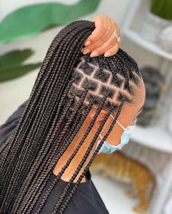 Knotless Braids Sample 7
