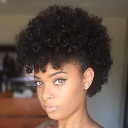 Curly Frohawk Sample 7