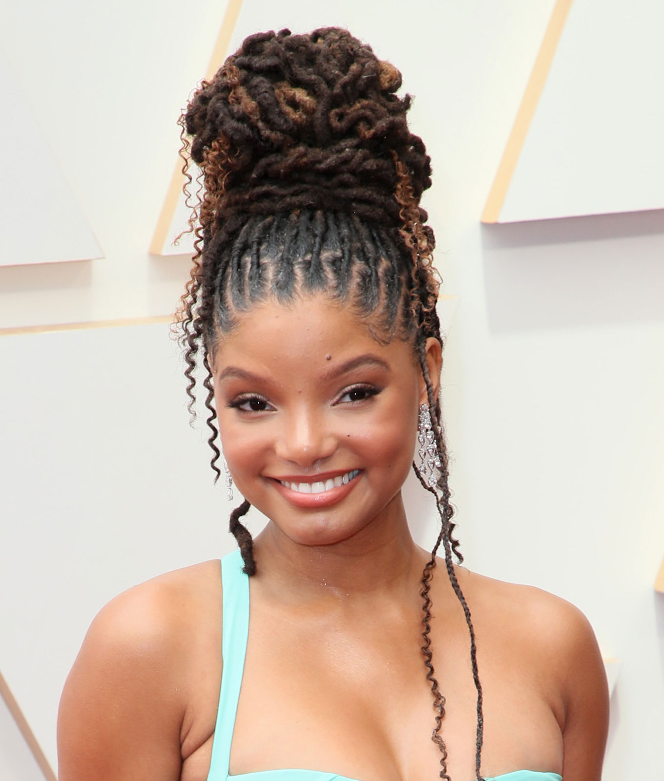 Braided Updo Sample 5