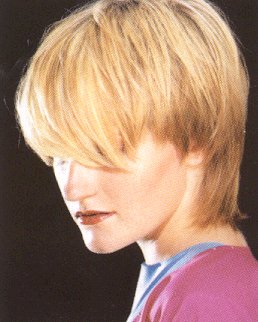 Miscellaneous Short Hairstyles Sample 6