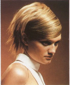 Miscellaneous Short Hairstyles Sample 8