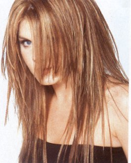 Miscellaneous Long Hairstyles Sample 9